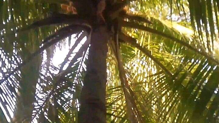 "Halo! Selamat datang di sini."🔥Cuma bikin video yang aku suka. Kalau kamu suka, follow aja."Main-m