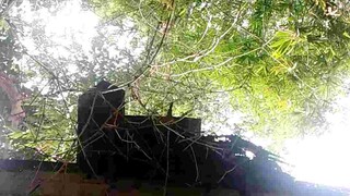 [INTRO] Isabella's Lullaby (Promise Neverland) - Kalimba Cover