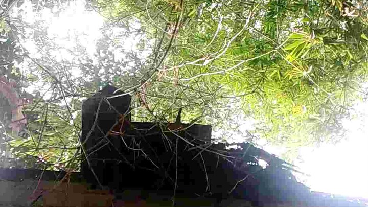 [INTRO] Isabella's Lullaby (Promise Neverland) - Kalimba Cover