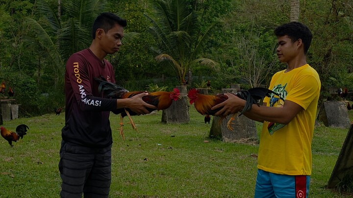 Going 5 months old - Earlybird