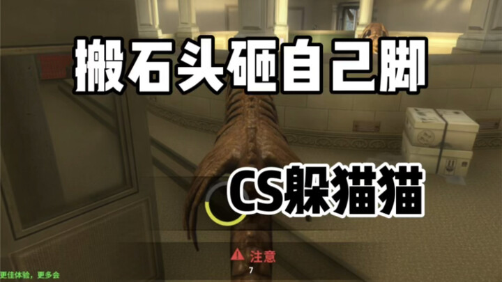 เกมซ่อนหาใน CSGO: ฉันเศร้ามาก