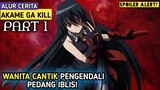 WANITA CANTIK PENGENDALI PEDANG IBLIS||Alur Cerrita Film Anime Akame Ga Kill | MovieRastis | #PART 1