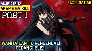 WANITA CANTIK PENGENDALI PEDANG IBLIS||Alur Cerrita Film Anime Akame Ga Kill | MovieRastis | #PART 1