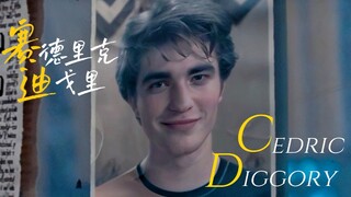 【HP|塞德里克•迪戈里】“请永远记住他，一个正直、善良、勇敢的男孩。”