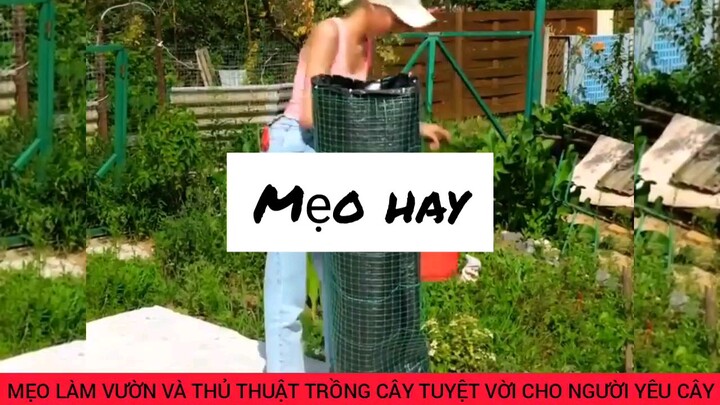 thủ thuật trồng cây tuyệt vời