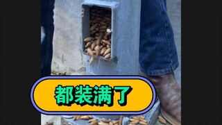 حصاد كامل آخر