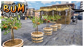 Building a Hobo Farm to Train Pigeon Tornados // BUM Simulator Gameplay