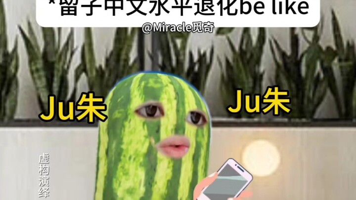 Record of Liuzi's Chinese Language Decline 11