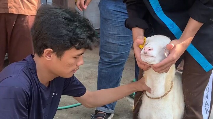 pengecekan DNA isekai