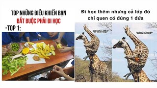 Ảnh chế p260 || động lực để tiếp tục đi học || ĐLT ảnh chế
