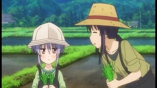 Miaopas เป็นภูมิปัญญาของบรรพบุรุษหรือไม่?