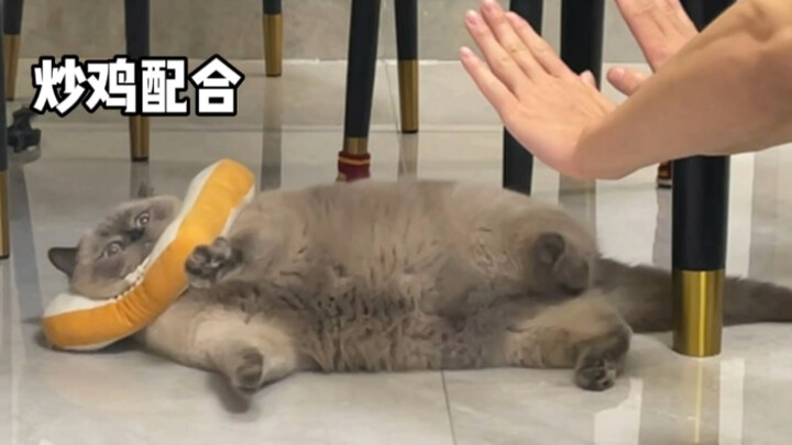 Terlalu imut untuk bersikap adil!!