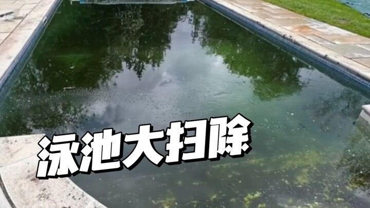 泳池大扫除，从"绿色沼泽"到清澈泳池的蜕变！