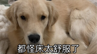 加班晚回家的一天