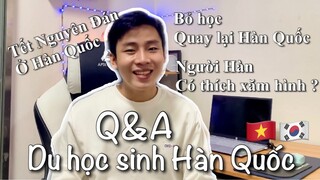 Q&A: Khánh đã bỏ học và quay trở lại Hàn Quốc học như thế nào? | Người Hàn có thích Xăm hình không ?