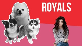 Royals but it's Doggos and Gabe