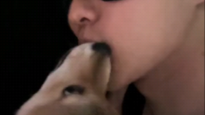 Dogs have people they can kiss