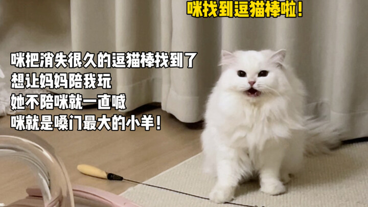 Mi is the little sheep with the loudest voice!
