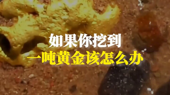 ถ้าคุณขุดพบทองคำหนักหนึ่งตันในสวนหลังบ้าน คุณจะทำอย่างไร