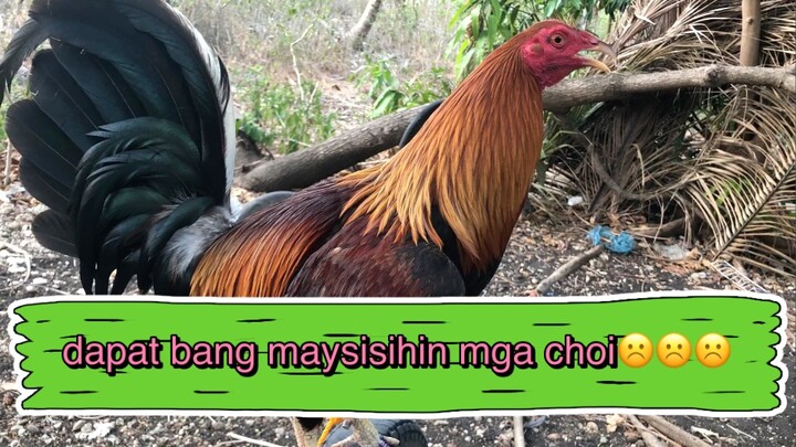 (draw) po tayo sayang ang bagal ng sintinsyador po☹️☹️☹️