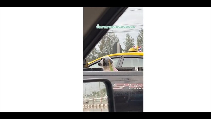 ท้ายกระบะก็เย็นนะนุด