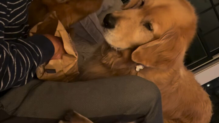 Lao Deng, you really eat alone.