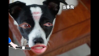 采访狗哥当时的心情