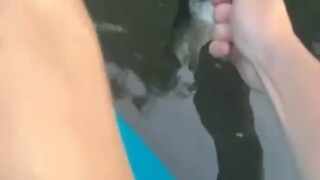 มีความแค้นรุนแรงมาก