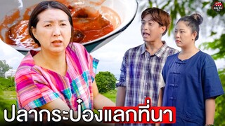 บุญคุณปลากระป๋องแลกที่นา 100 ไร่ I หนังสั้น ตอง ติง ฟิล์ม