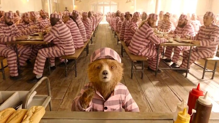 The cute little bear was put in jail, but unexpectedly he became the boss of the prison!