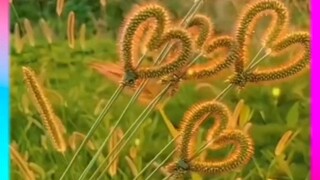 If your heart is beautiful, then love is beautiful too.