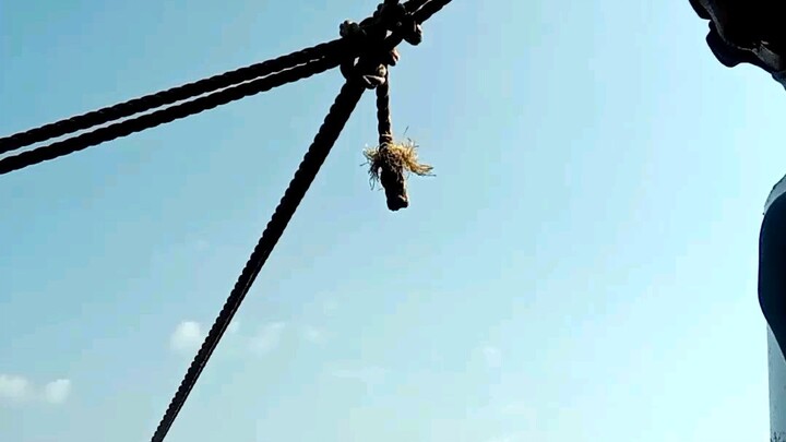 Smaw ship welder🛳️😇