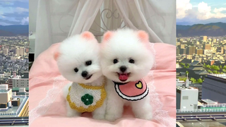 ดูแล้วหายเครียดseries 27