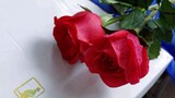 Membuat Bunga Mawar dengan Kertas Tisu