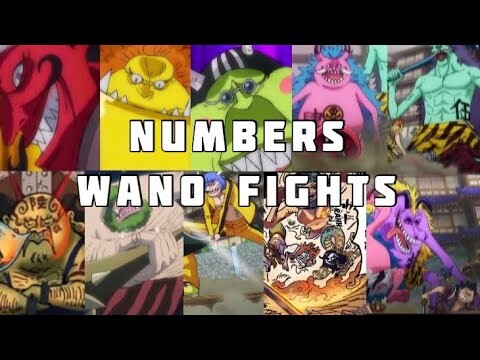 Numbers Fights in Wano | Manga Video