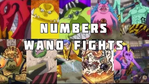 Numbers Fights in Wano | Manga Video