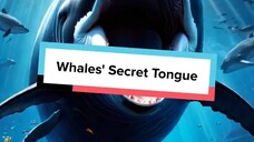 Whales' Secret Tongue