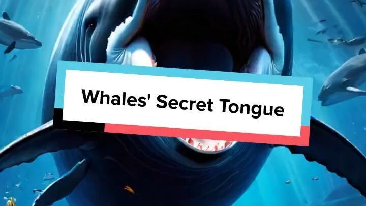 Whales' Secret Tongue