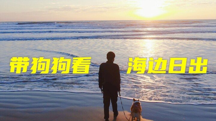 Watching the most beautiful seaside sunrise with my dog, dedicated to my 2,865 fans!