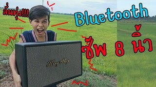 ลำโพงBluetooth ซัพ8นิ้ว เพื่อน นอน นา ลั่นทุ่ง Tigger Show / ทิกเกอร์โชว์