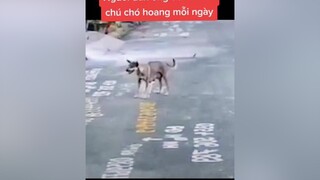 và cuối cùng đã thay đổi cs cả 2 theo cách tốt đẹp nhất dog chó pet yeuchomeo mèo