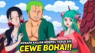 INI DIA ALASAN ZORO TIDAK TERTARIK DENGAN WANITA LAIN!!? ONE PIECE TERBARU