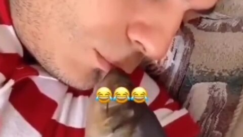 Holy crap, he even stuck his tongue out!