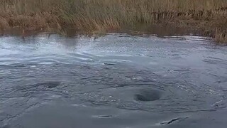 俄勒冈州一对夫妻发现：这边漩涡吞进去的东西，会在另一边吐出来
