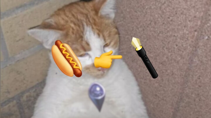 Ultraman Hagin's 🐱 lending his light to Hajeen-mi 😿