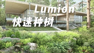 Lumion植物组团运用，竟然可以一键种树。