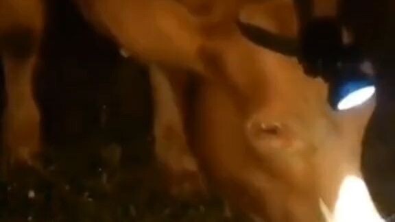 Efek "Perusahaan Lilin Negara"... listrik mati padam, hehe