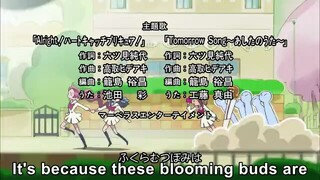 HeartCatch precure episode 49