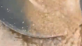 رجل ينقّب عن الذهب على ضفاف المجرى المائي، ولم يتوقع أن يحصل على كمية كبيرة من الذهب. قال أحد المستخ