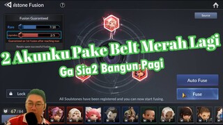 🎉Buka Kotak New Year + Gacha & Fuse Pet 🎉[Seven Knights 2 | 7K2]